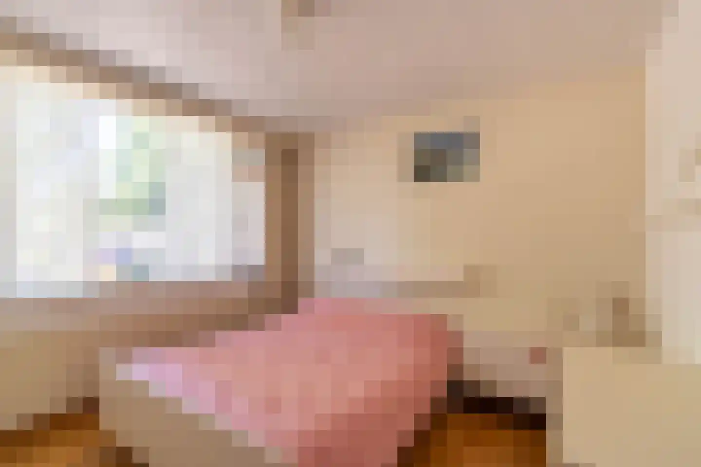 Kleine Beekstraat 20 Sint Anthonis thumbnail 37