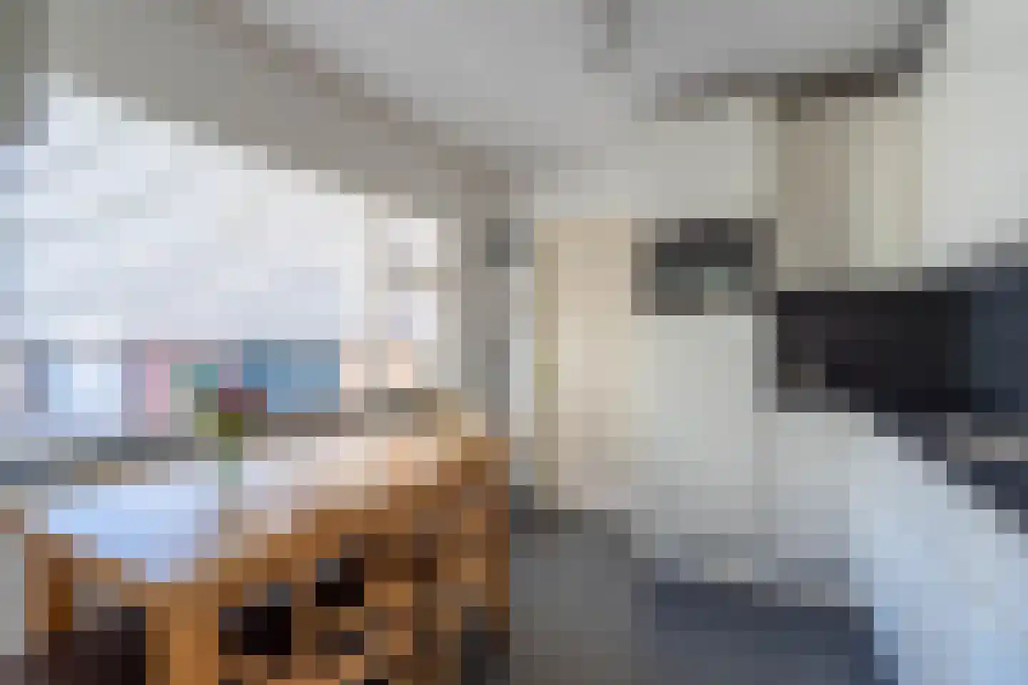 Kleine Beekstraat 20 Sint Anthonis thumbnail 4