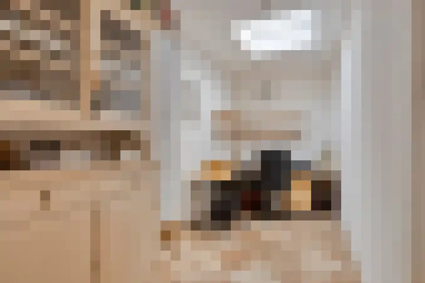 Kleine Beekstraat 9 Sint Anthonis thumbnail 11