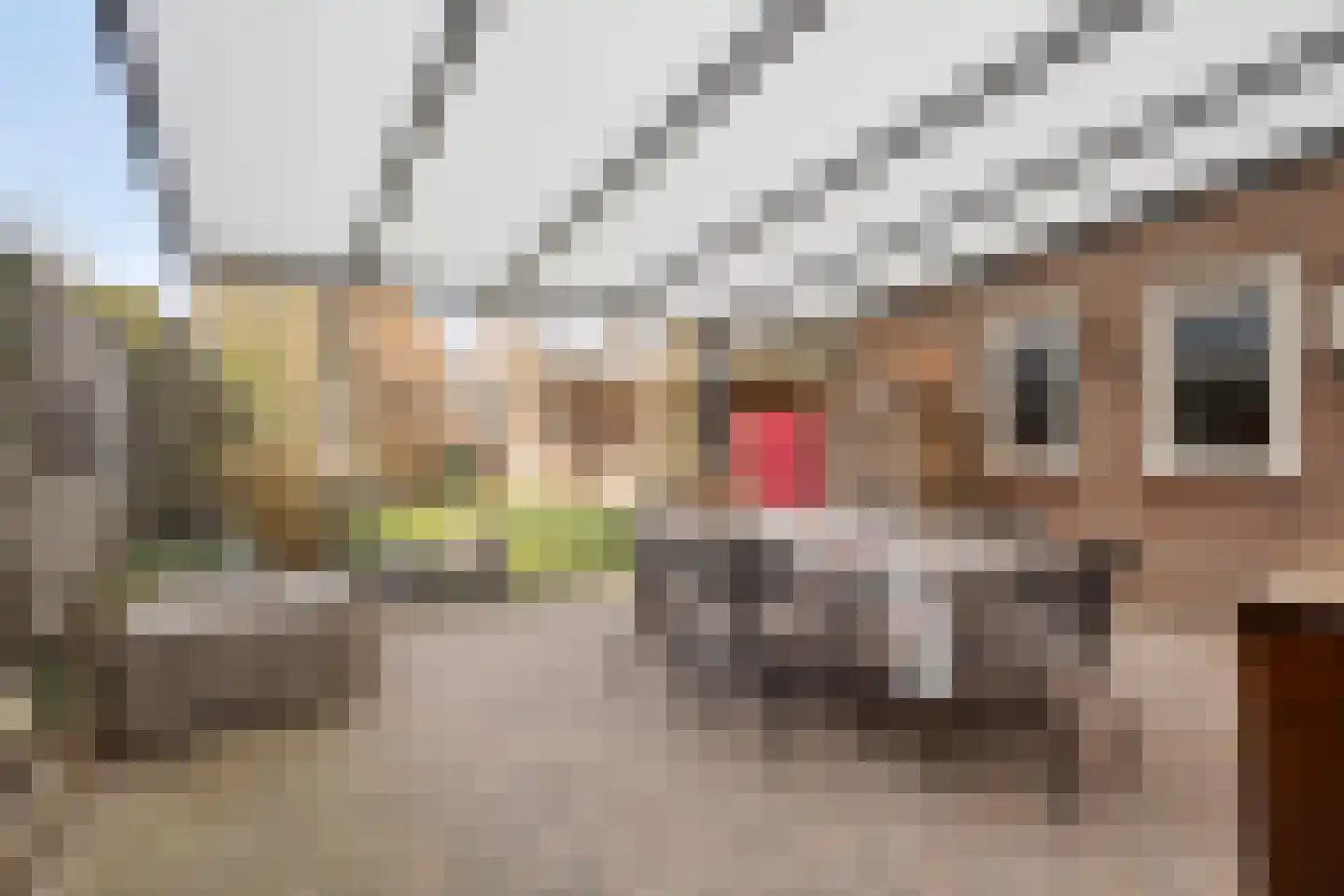 Kleine Beekstraat 9 Sint Anthonis thumbnail 21
