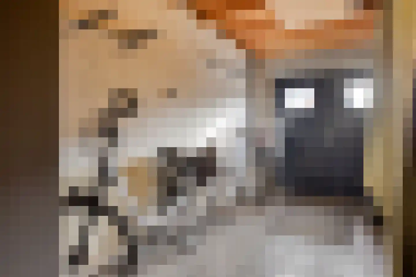 Kleine Beekstraat 9 Sint Anthonis thumbnail 23