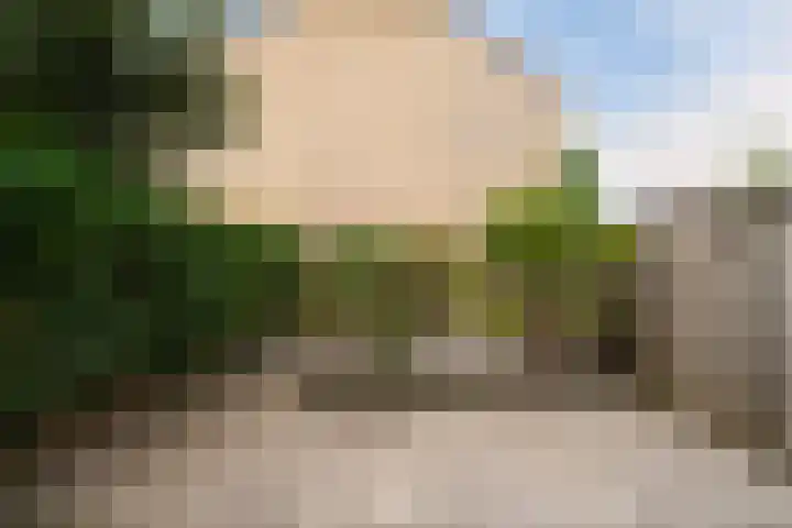 Kleine Beemd 105 Boxtel thumbnail 45