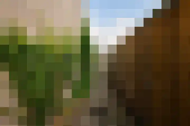 Kleine Beemd 105 Boxtel thumbnail 48