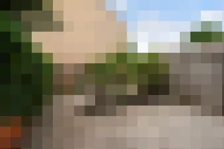 Kleine Beemd 105 Boxtel thumbnail 50