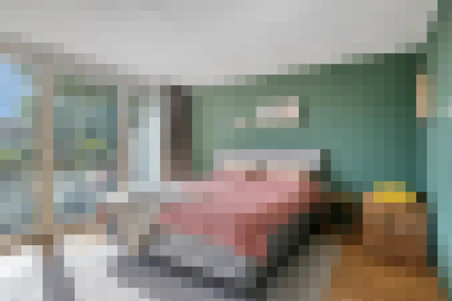 Kleine Beemd 11 Boxtel thumbnail 19