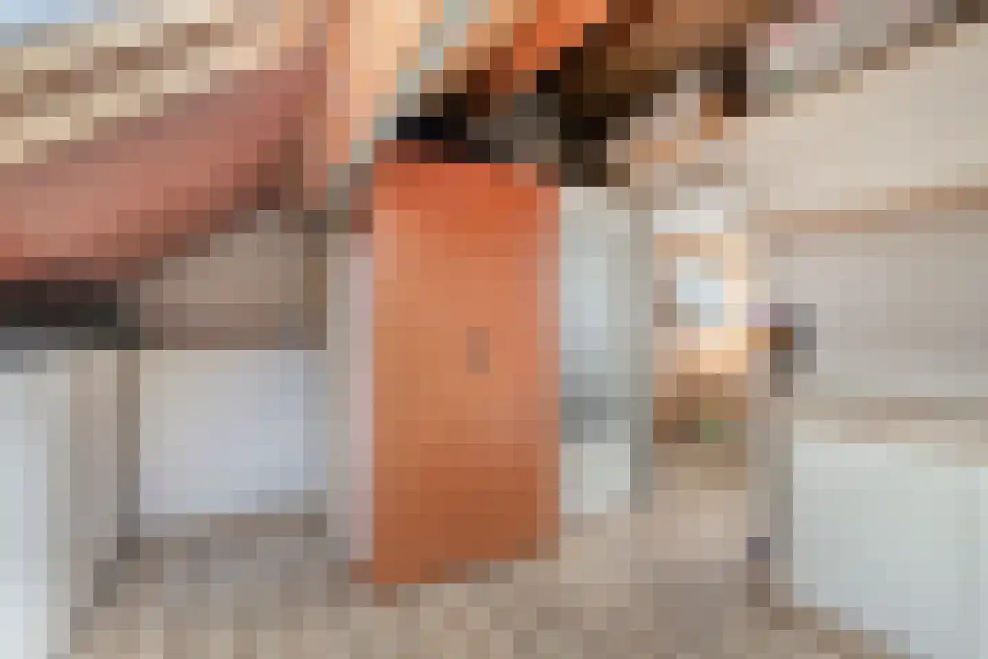 Kleine Beemd 11 Boxtel thumbnail 31