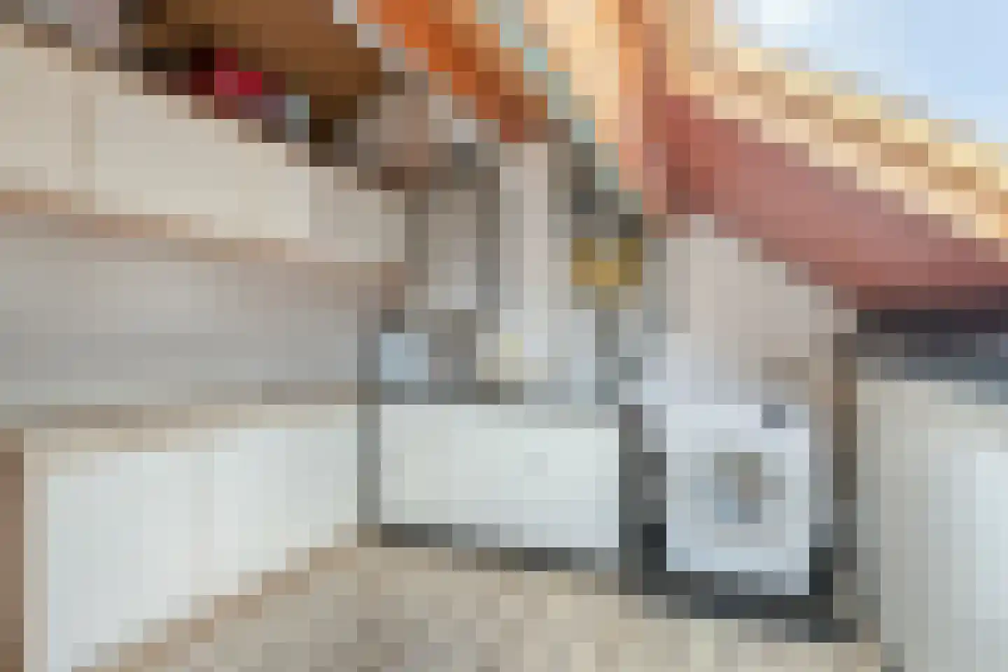 Kleine Beemd 11 Boxtel thumbnail 32