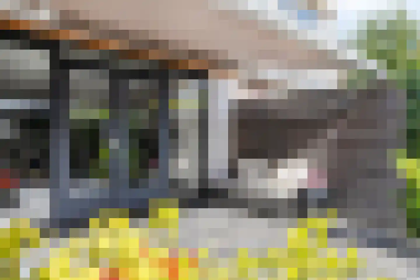 Kleine Beemd 11 Boxtel thumbnail 41