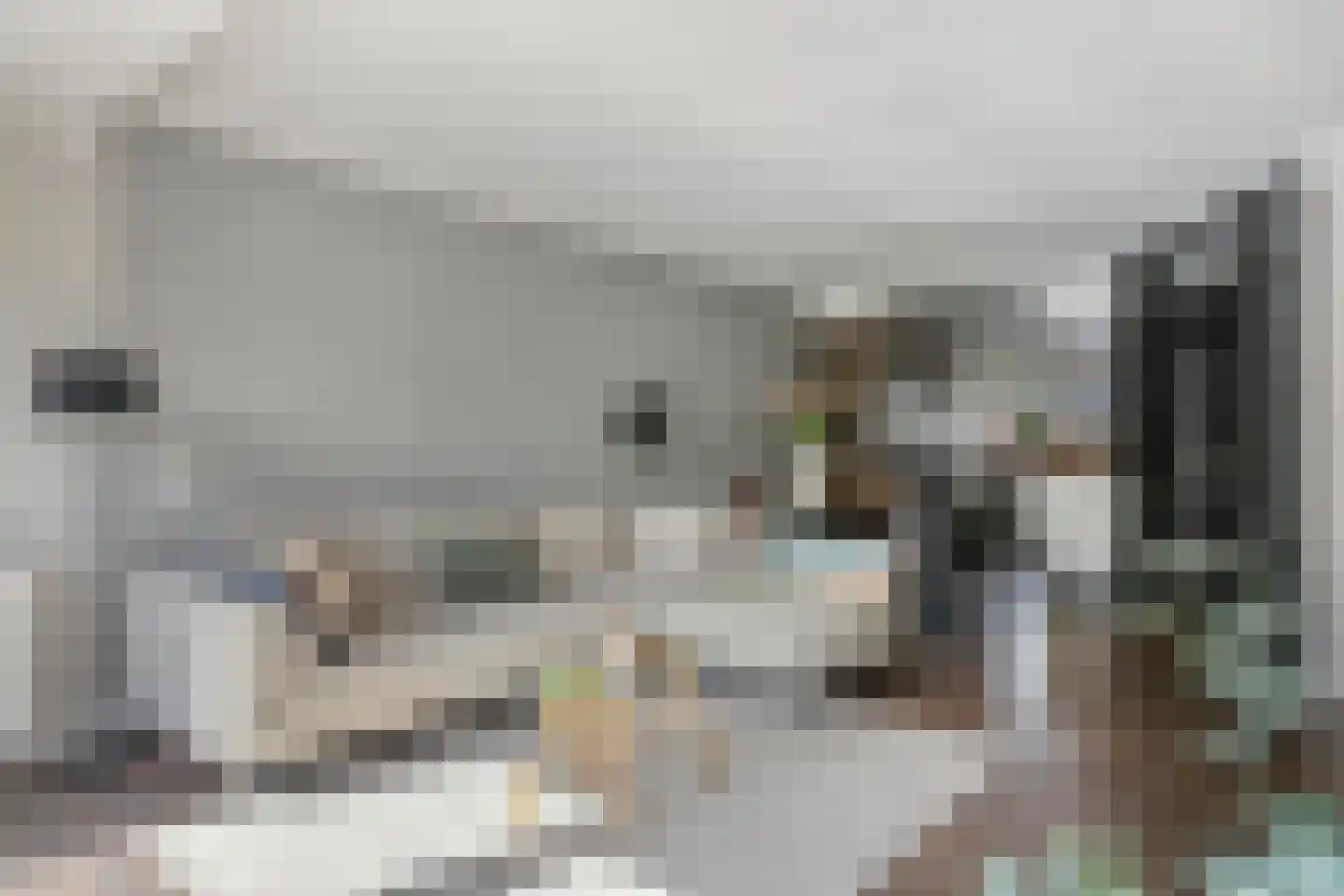 Kleine Beemd 11 Boxtel thumbnail 5