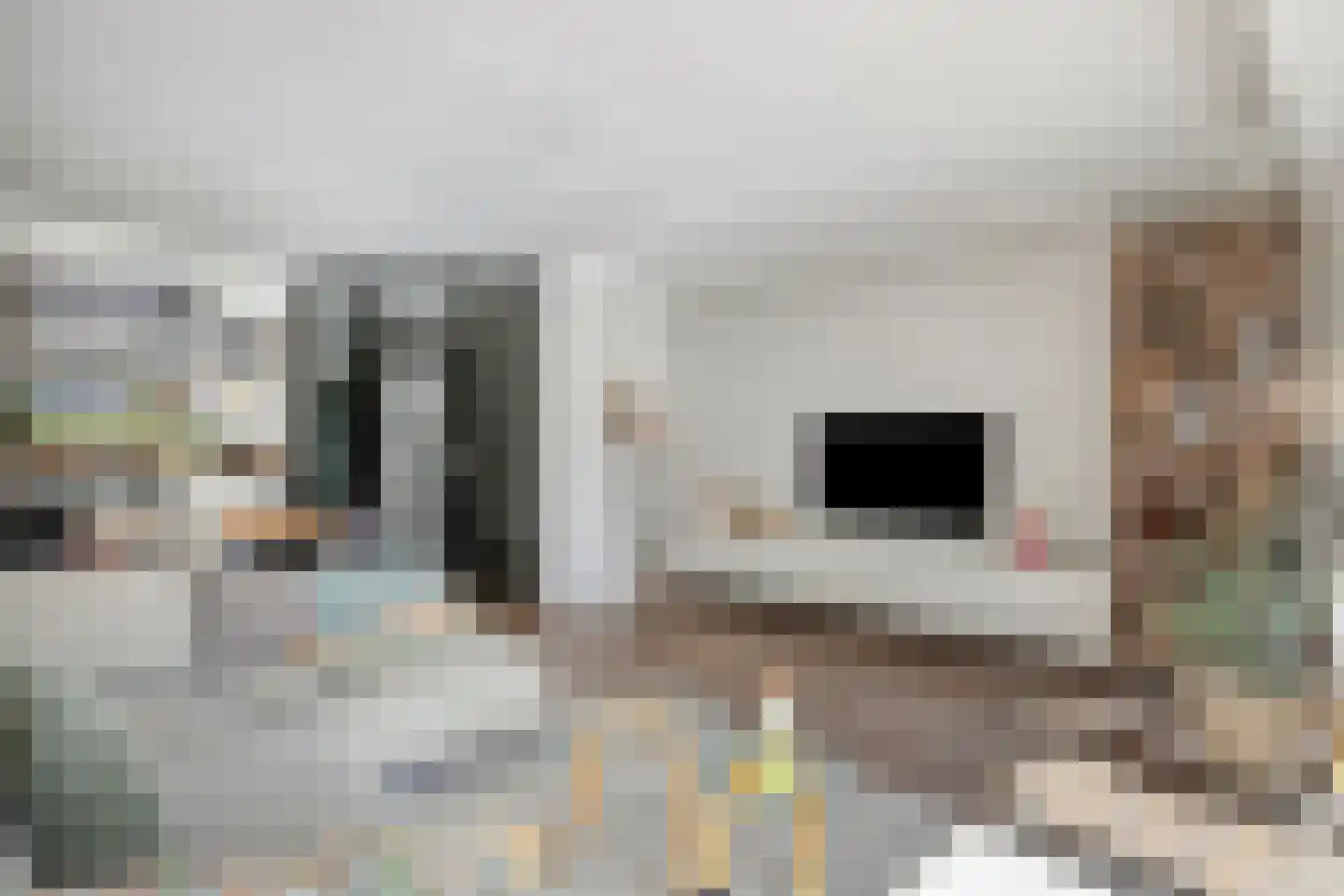 Kleine Beemd 11 Boxtel thumbnail 9
