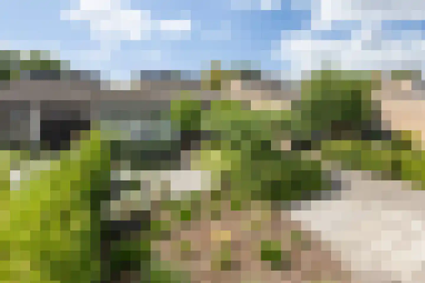 Kleine Beemd 20 Boxtel thumbnail 10