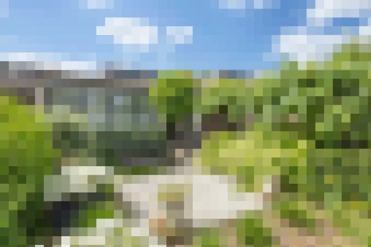Kleine Beemd 20 Boxtel thumbnail 18