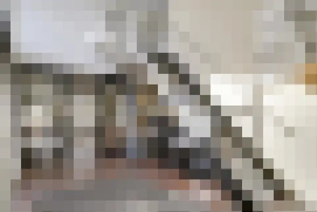 Kleine Beemd 20 Boxtel thumbnail 21