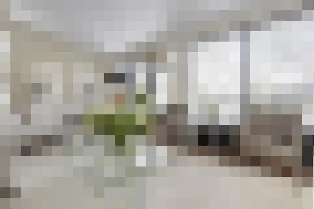 Kleine Beemd 20 Boxtel thumbnail 25