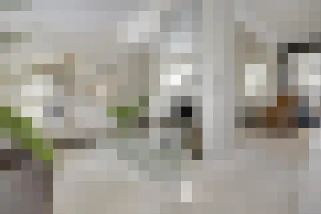 Kleine Beemd 20 Boxtel thumbnail 26