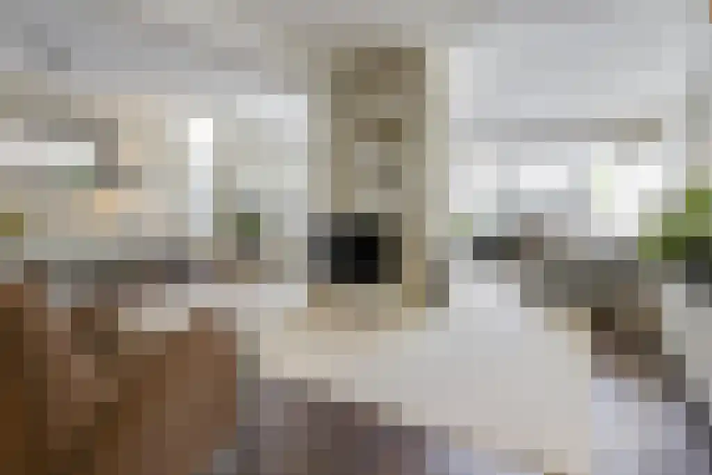 Kleine Beemd 20 Boxtel thumbnail 27