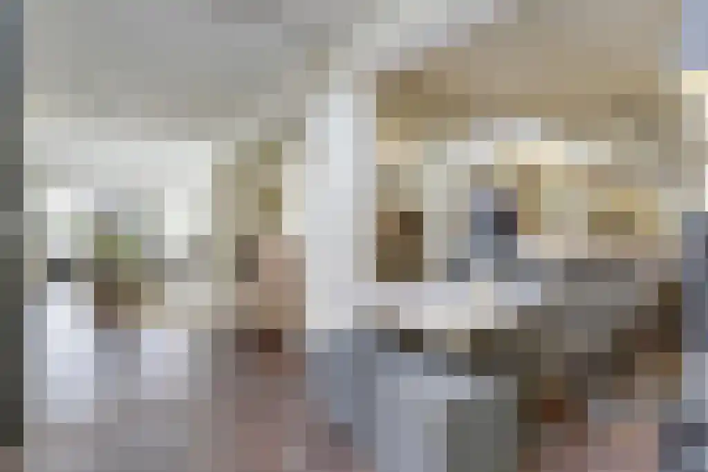 Kleine Beemd 20 Boxtel thumbnail 30