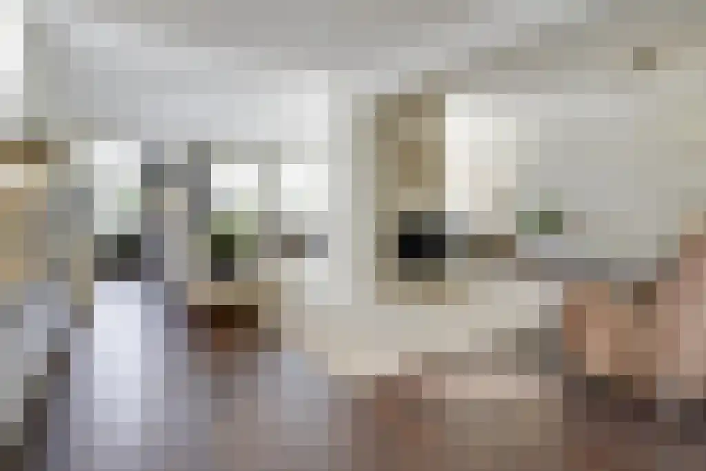 Kleine Beemd 20 Boxtel thumbnail 4