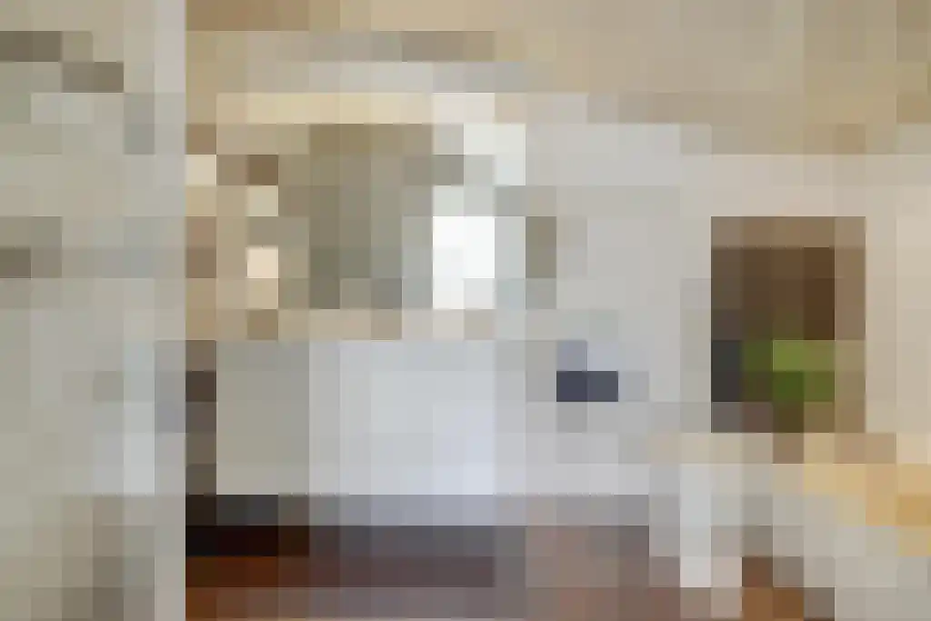 Kleine Beemd 20 Boxtel thumbnail 43