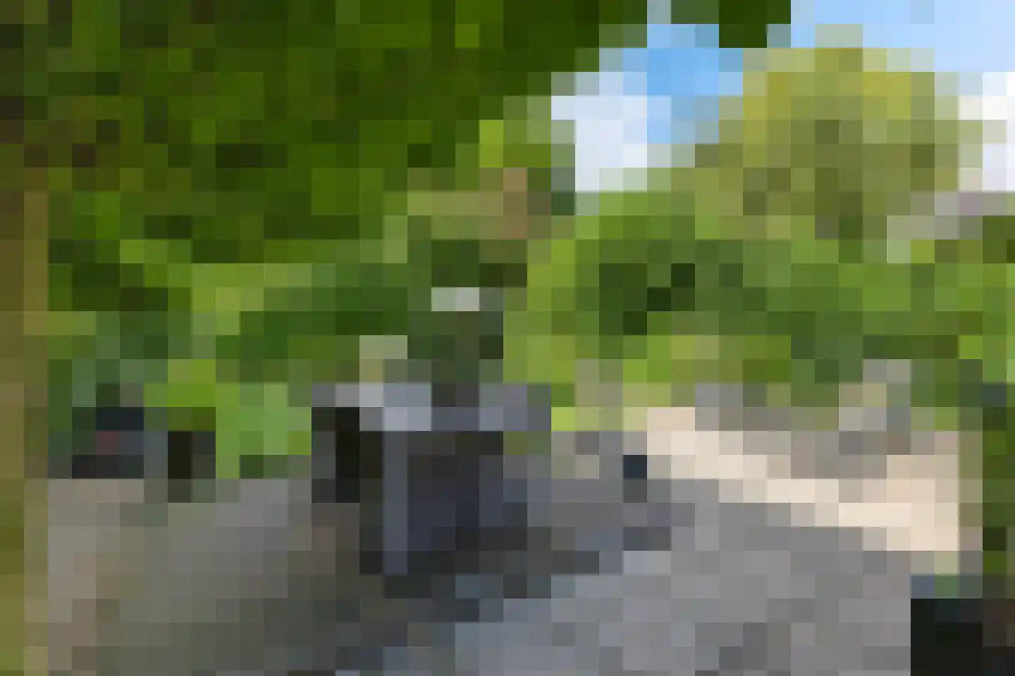 Kleine Beemd 20 Boxtel thumbnail 47