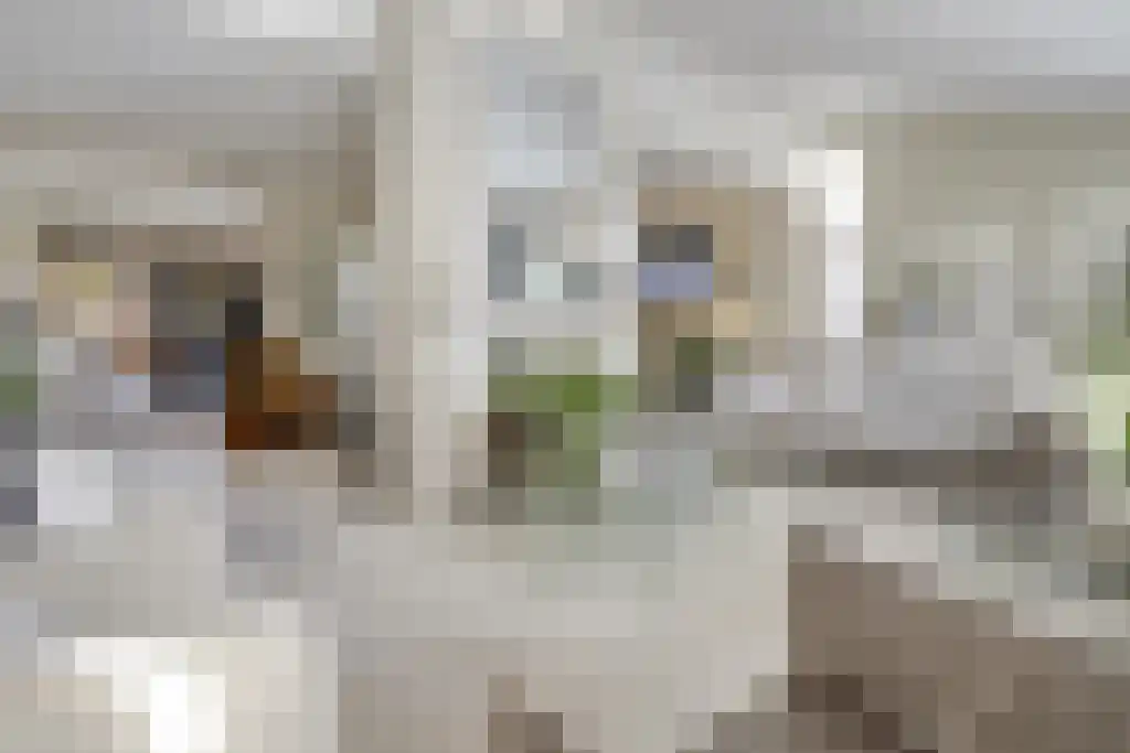 Kleine Beemd 20 Boxtel thumbnail 5