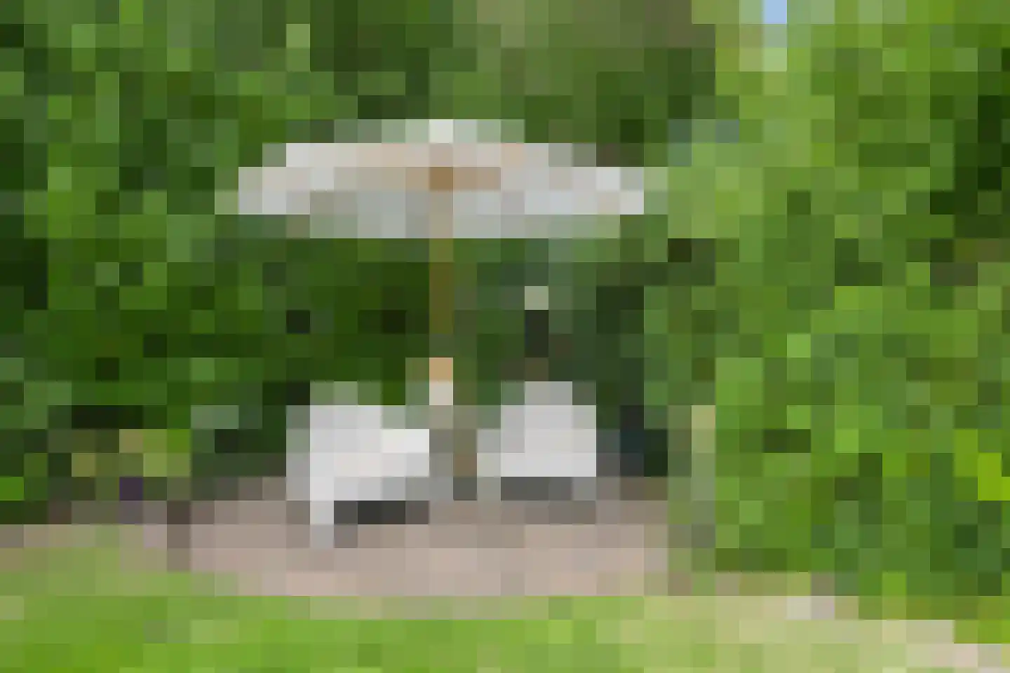 Kleine Beemd 20 Boxtel thumbnail 53
