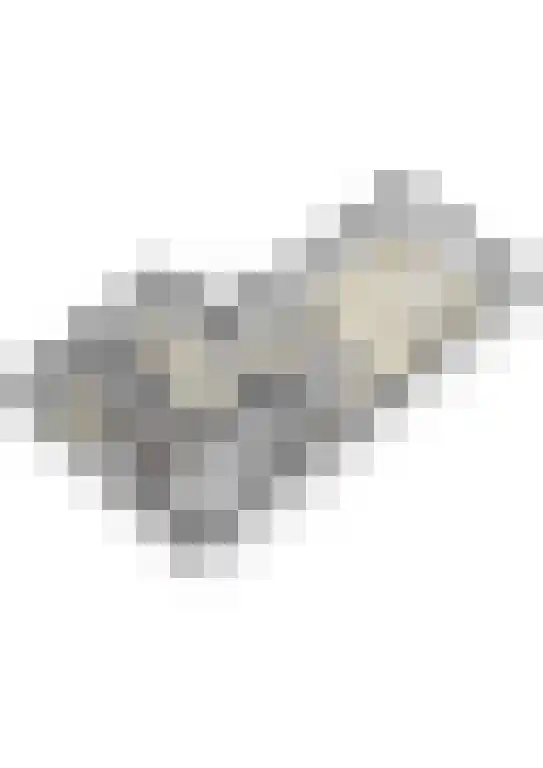 Kleine Beemd 20 Boxtel thumbnail 61