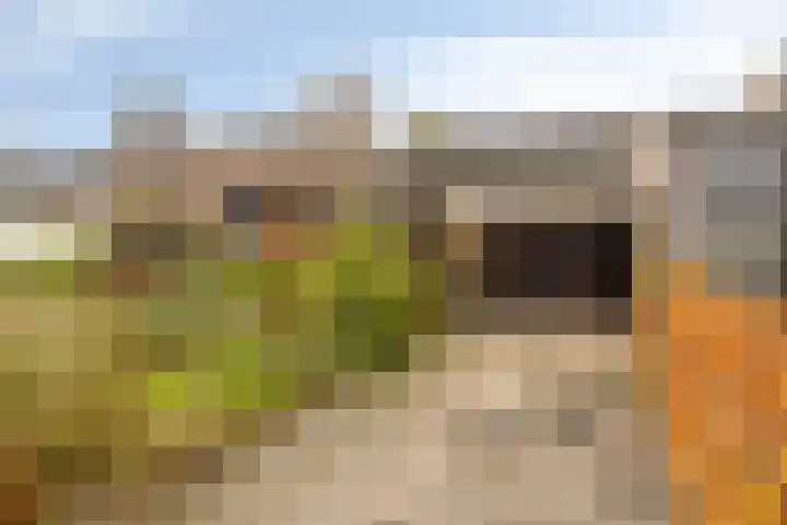 Kleine Beemd 38 Boxtel