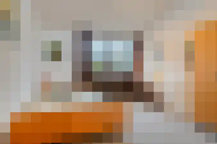 Kleine Beemd 38 Boxtel thumbnail 26
