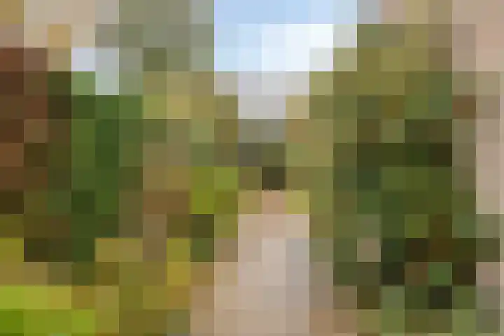 Kleine Beemd 38 Boxtel thumbnail 36