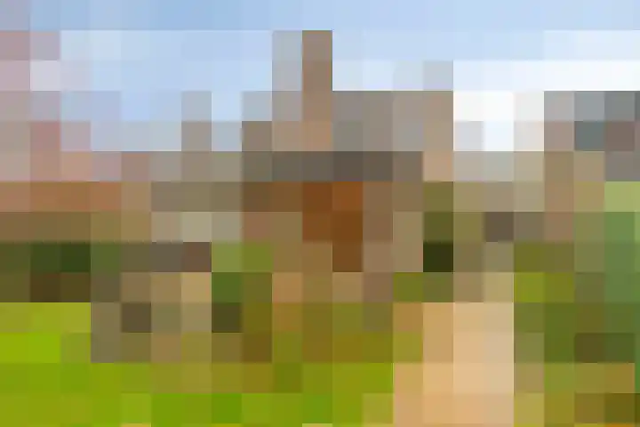 Kleine Beemd 38 Boxtel thumbnail 38