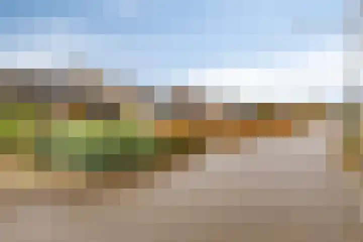 Kleine Beemd 38 Boxtel thumbnail 39