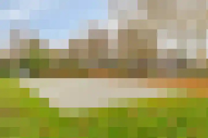 Kleine Beemd 38 Boxtel thumbnail 41