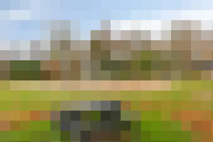 Kleine Beemd 38 Boxtel thumbnail 42