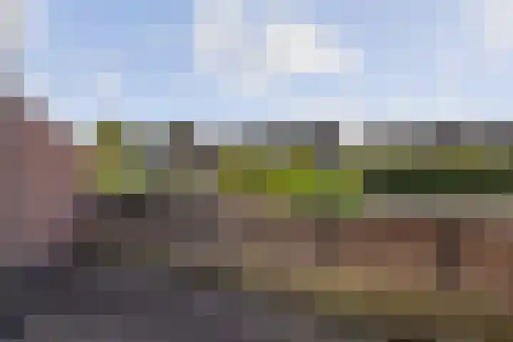 Kleine Beemd 57 Boxtel thumbnail 31