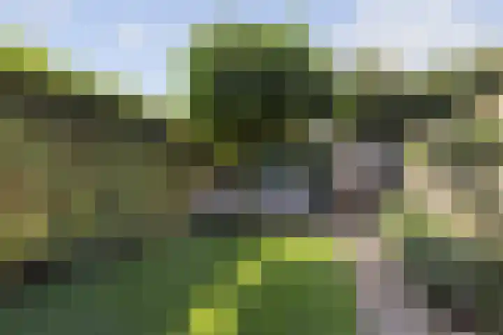 Kleine Beemd 57 Boxtel thumbnail 45