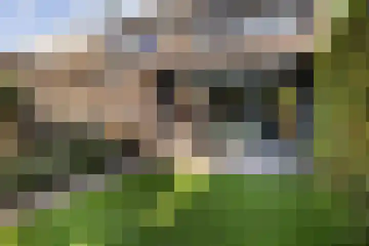 Kleine Beemd 57 Boxtel thumbnail 47