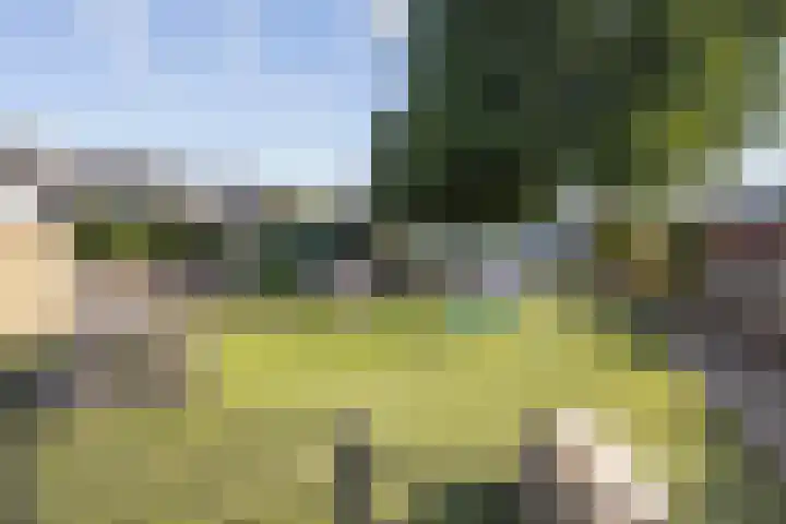 Kleine Beemd 57 Boxtel thumbnail 50