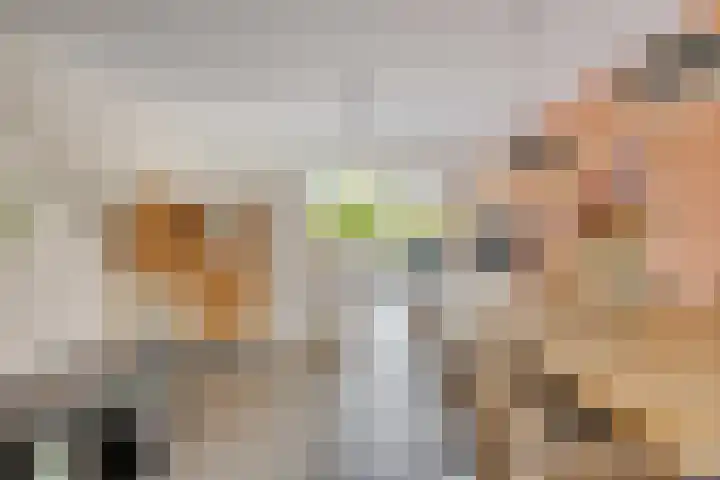 Kleine Beemd 75 Boxtel thumbnail 10