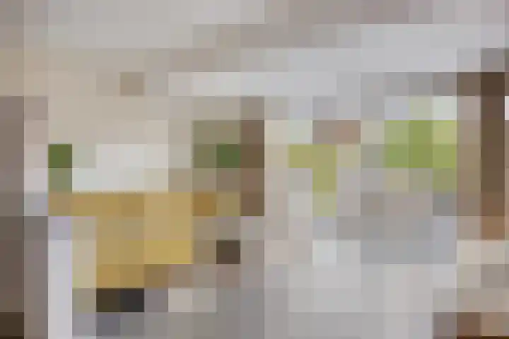 Kleine Beemd 75 Boxtel thumbnail 11