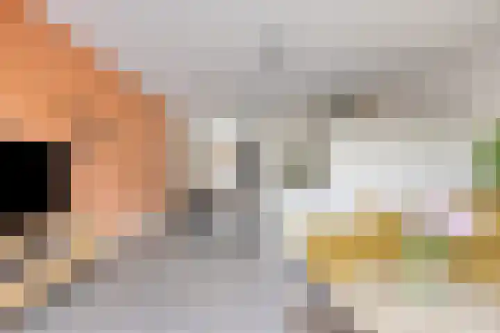 Kleine Beemd 75 Boxtel thumbnail 12
