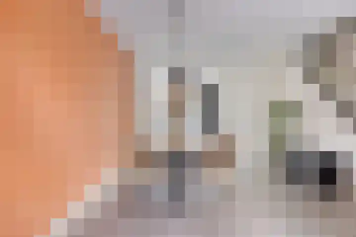 Kleine Beemd 75 Boxtel thumbnail 13