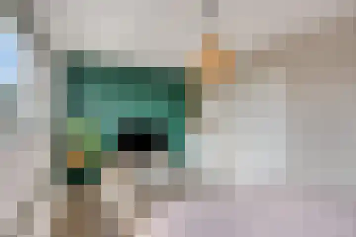 Kleine Beemd 75 Boxtel thumbnail 23