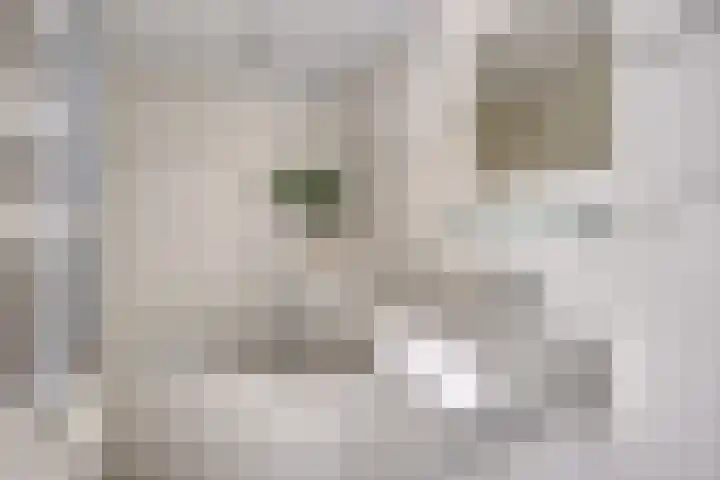 Kleine Beemd 75 Boxtel thumbnail 28