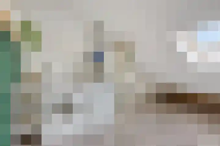 Kleine Beemd 75 Boxtel thumbnail 29