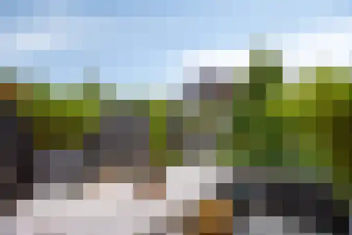 Kleine Beemd 75 Boxtel thumbnail 33