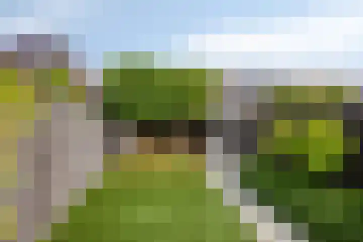 Kleine Beemd 75 Boxtel thumbnail 35
