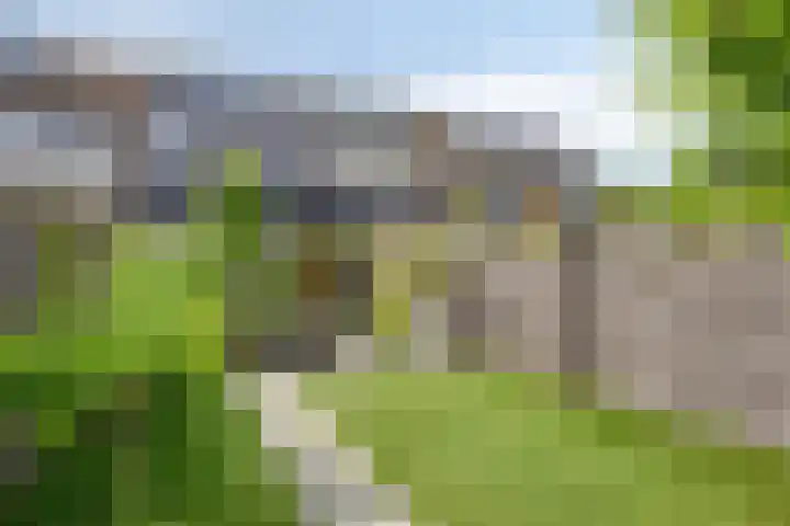 Kleine Beemd 75 Boxtel thumbnail 38