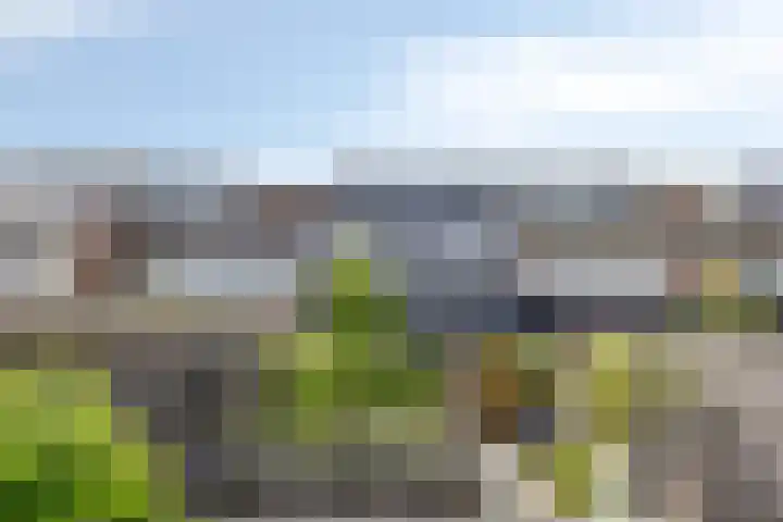 Kleine Beemd 75 Boxtel thumbnail 40