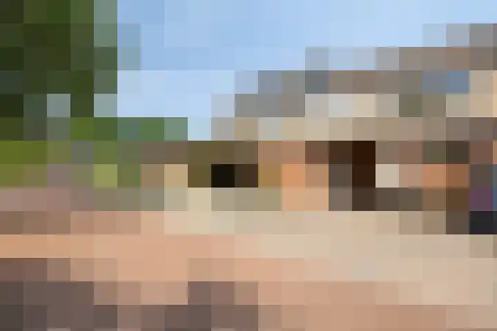 Kleine Beemd 75 Boxtel thumbnail 42